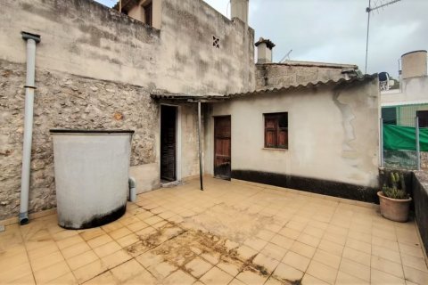 Rindu māja pārdošanā Pollenca, Mallorca, Spānijā 4 istabas, 161 m2 Nr. 49442 - attēls 9