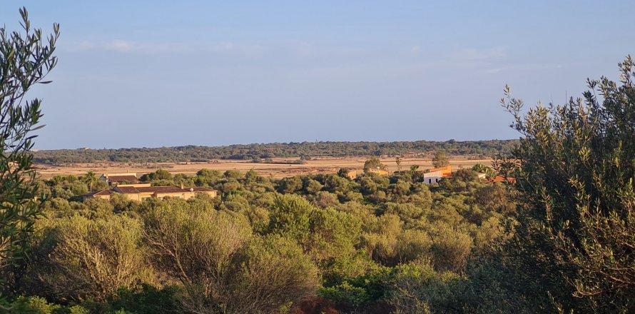 Zemes gabals Santanyi, Mallorca, Spānijā 59409 m2 Nr. 49448