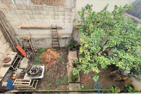 Rindu māja pārdošanā Pollenca, Mallorca, Spānijā 4 istabas, 161 m2 Nr. 49442 - attēls 12