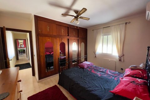Māja pārdošanā L'Alfàs del Pi, Alicante, Spānijā 2 istabas, 900 m2 Nr. 50704 - attēls 16