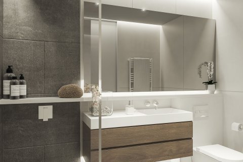 Terrasses d'Emprivat Andorra La Vella, Lleida, Spānijā Nr. 50586 - attēls 4
