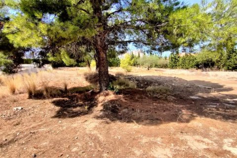 Zemes gabals pārdošanā La Nucia, Alicante, Spānijā Nr. 50083 - attēls 3