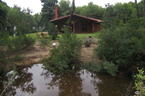 Finca pārdošanā Denia, Alicante, Spānijā 3 istabas, 190 m2 Nr. 50111 - attēls 5