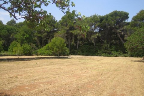 Zemes gabals pārdošanā Denia, Alicante, Spānijā Nr. 50223 - attēls 2