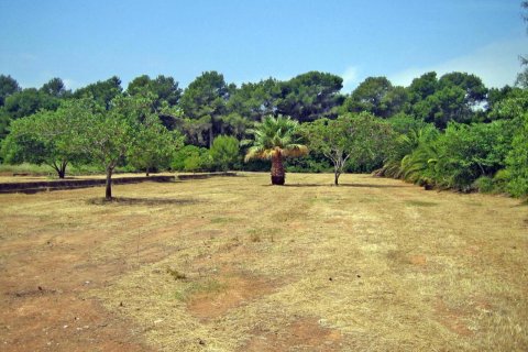Zemes gabals pārdošanā Denia, Alicante, Spānijā Nr. 50223 - attēls 3