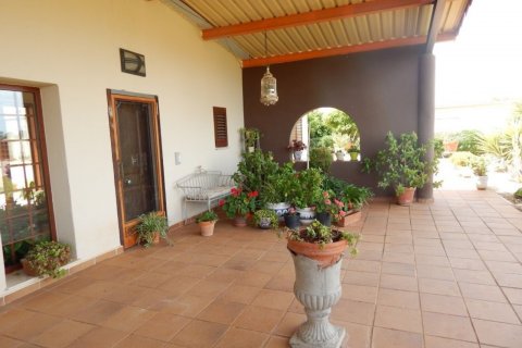 Finca pārdošanā Ondara, Alicante, Spānijā 4 istabas, 500 m2 Nr. 50224 - attēls 4