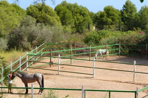 Villa pārdošanā Pedreguer, Alicante, Spānijā 5 istabas, 425 m2 Nr. 50217 - attēls 30