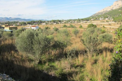Zemes gabals pārdošanā Javea, Alicante, Spānijā Nr. 50194 - attēls 2