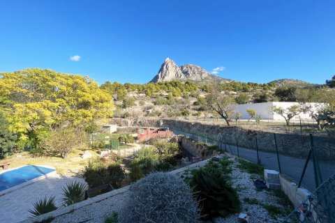 Māja pārdošanā Finestrat, Alicante, Spānijā 4 istabas, 900 m2 Nr. 50711 - attēls 7