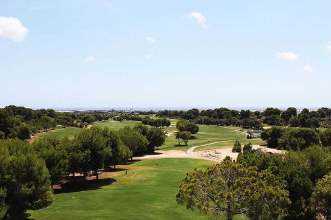 Azure Pilar de la Horadada, Alicante, Spānijā Nr. 53238 - attēls 12