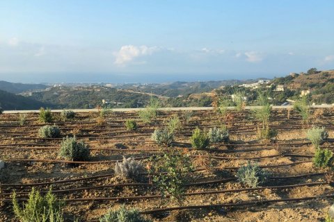 Villa pārdošanā Benahavis, Malaga, Spānijā 4 istabas, 580 m2 Nr. 53480 - attēls 15