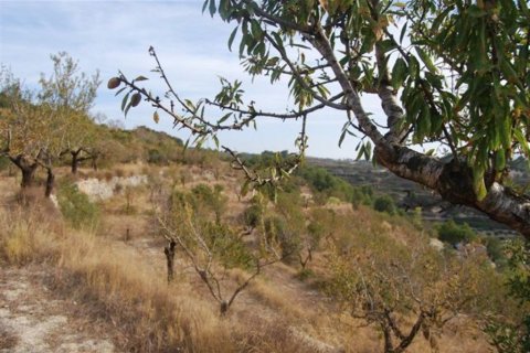 Zemes gabals pārdošanā Benissa, Alicante, Spānijā Nr. 54483 - attēls 7