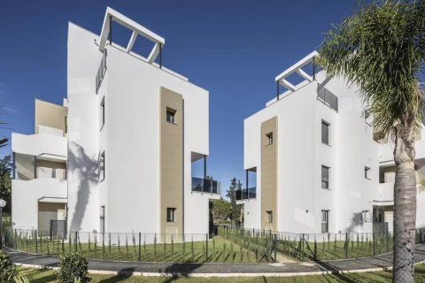 Sevilla 7 Oliva, Valencia, Spānijā Nr. 55825 - attēls 14