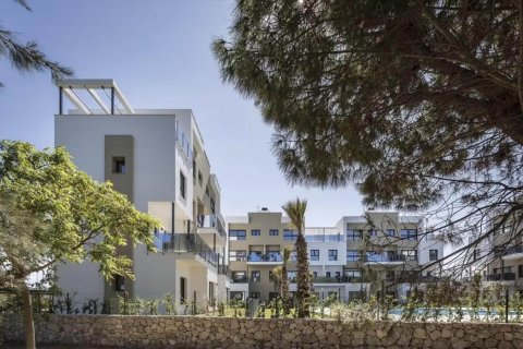 Sevilla 7 Oliva, Valencia, Spānijā Nr. 55825 - attēls 12