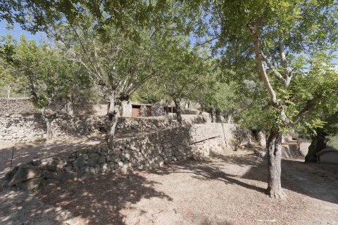 Finca pārdošanā Valldemosa, Mallorca, Spānijā 5 istabas, 500 m2 Nr. 57031 - attēls 19