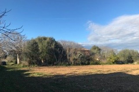 Zemes gabals pārdošanā Felanitx, Mallorca, Spānijā 32980 m2 Nr. 32420 - attēls 8