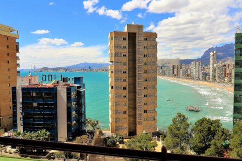 Dzīvoklis pārdošanā Benidorm, Alicante, Spānijā 2 istabas, 50 m2 Nr. 58955 - attēls 10
