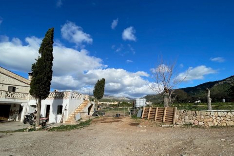 Finca pārdošanā Andratx, Mallorca, Spānijā 4 istabas, 259 m2 Nr. 60573 - attēls 3