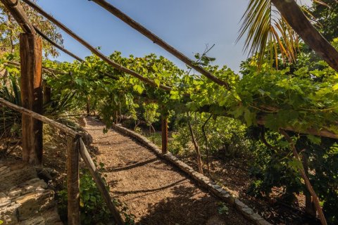 Villa pārdošanā San Bartolome De Tirajana, Gran Canaria, Spānijā 12 istabas, 1.24 m2 Nr. 62163 - attēls 25