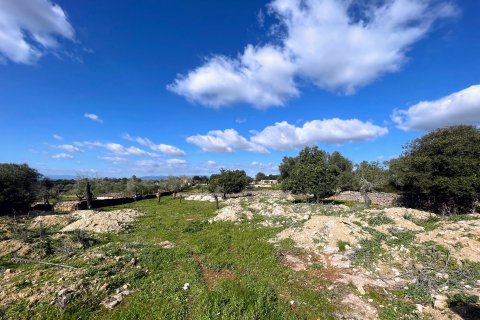 Finca pārdošanā Costitx, Mallorca, Spānijā 3 istabas, 311 m2 Nr. 62827 - attēls 12