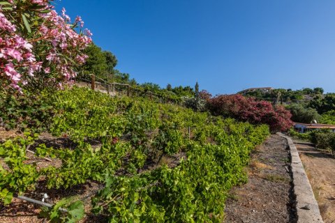 Villa pārdošanā San Bartolome De Tirajana, Gran Canaria, Spānijā 12 istabas, 1.24 m2 Nr. 62163 - attēls 27