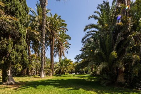 Villa pārdošanā San Bartolome De Tirajana, Gran Canaria, Spānijā 12 istabas, 1.24 m2 Nr. 62163 - attēls 21