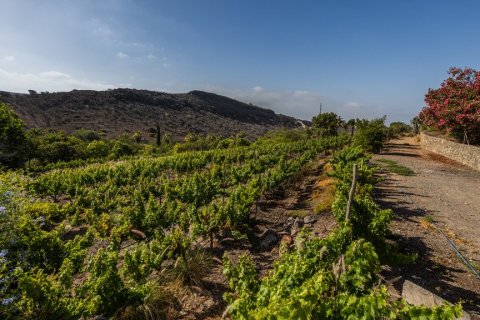 Villa pārdošanā San Bartolome De Tirajana, Gran Canaria, Spānijā 12 istabas, 1.24 m2 Nr. 62163 - attēls 28