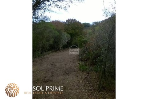 Finka Mahon, Menorca, Hiszpania 5 sypialni, 487 mkw. nr 11103 – zdjęcie 4