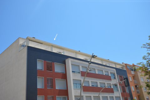 Apartament w Pilar de la Horadada, Alicante, Hiszpania 2 sypialnie, 70 mkw. nr 19323 – zdjęcie 2