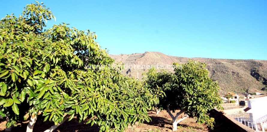 Finka Puerto de Santiago, Tenerife, Hiszpania 2 sypialnie, 62 mkw. nr 24638