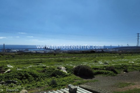 Działka Granadilla de Abona, Tenerife, Hiszpania 44400 mkw. nr 24662 – zdjęcie 1