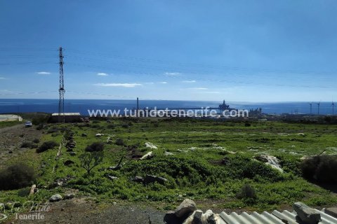 Działka Granadilla de Abona, Tenerife, Hiszpania 44400 mkw. nr 24662 – zdjęcie 2