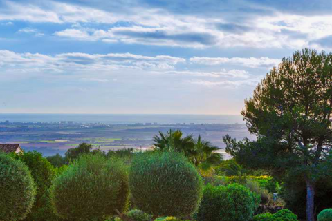 Działka Puntiro, Mallorca, Hiszpania 15215 mkw. nr 32858 – zdjęcie 2