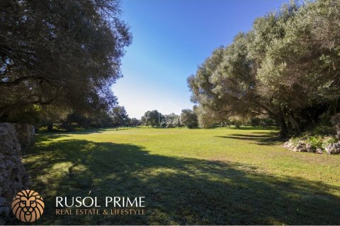 Willa Es Castell, Menorca, Hiszpania 12 sypialni, 700 mkw. nr 39057 – zdjęcie 6
