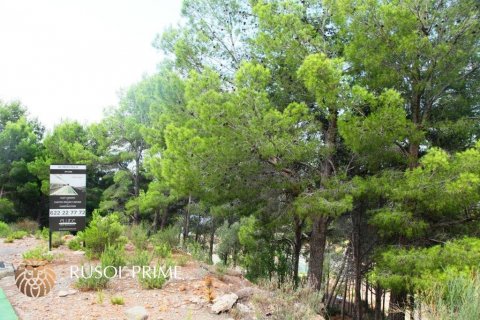 Działka Altea, Alicante, Hiszpania 9586 mkw. nr 39425 – zdjęcie 4