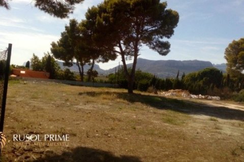 Działka Calpe, Alicante, Hiszpania 2000 mkw. nr 39408 – zdjęcie 5
