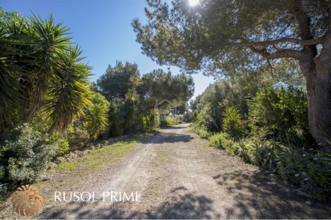 Willa Es Castell, Menorca, Hiszpania 12 sypialni, 700 mkw. nr 39057 – zdjęcie 8