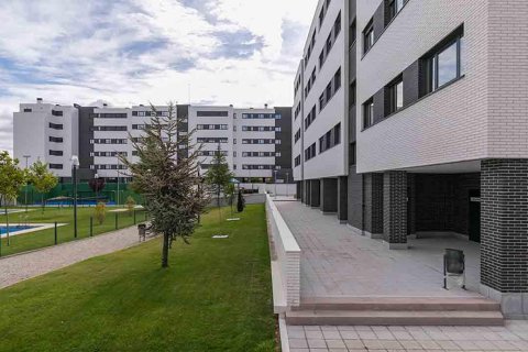 Jalon Valladolid, Hiszpania nr 40183 – zdjęcie 3