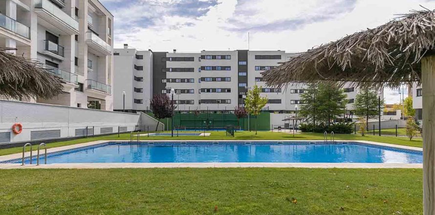Jalon Valladolid, Hiszpania nr 40183