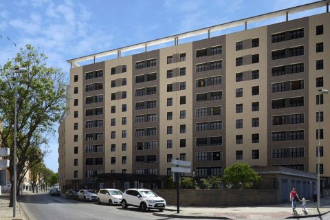 Alazan Jerez Cadiz, Hiszpania nr 40014 – zdjęcie 2