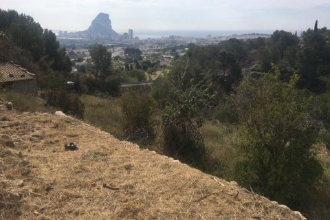 Willa Calpe, Alicante, Hiszpania 193 mkw. nr 43869 – zdjęcie 7