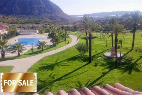 Hotel Alicante, Hiszpania 7 sypialni,  nr 46688 – zdjęcie 1