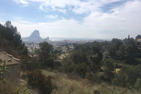 Willa Calpe, Alicante, Hiszpania 193 mkw. nr 43869 – zdjęcie 1