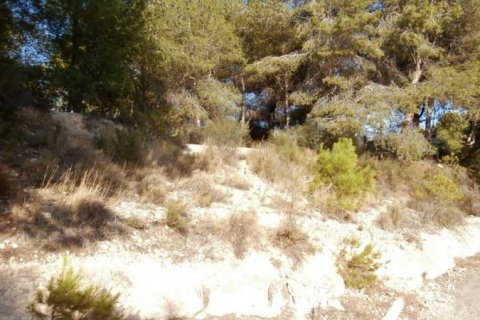Willa Benidorm, Alicante, Hiszpania 380 mkw. nr 44976 – zdjęcie 9