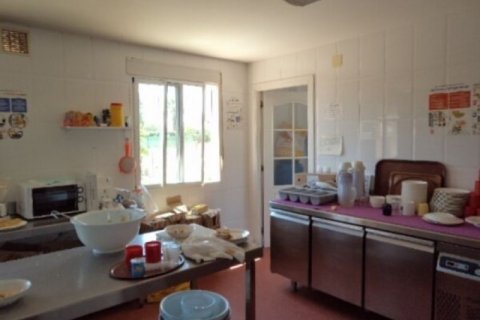 Lokal usługowy Alicante, Hiszpania 26 sypialni, 1200 mkw. nr 45030 – zdjęcie 6