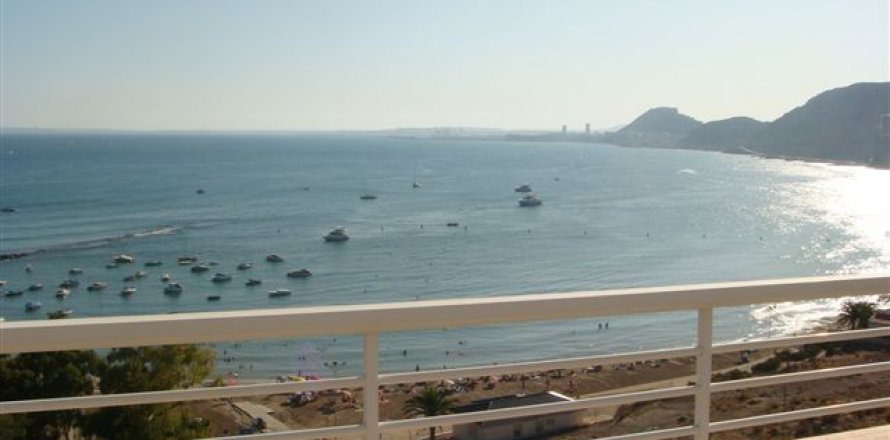 Penthouse w Alicante, Hiszpania 6 sypialni, 1.09 mkw. nr 44606