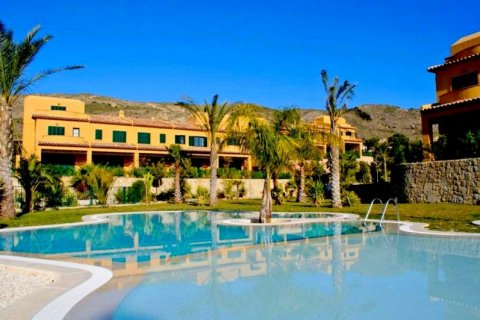 Hotel w Benidorm, Alicante, Hiszpania 19 sypialni, 944 mkw. nr 44785 – zdjęcie 2