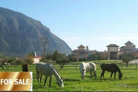 Hotel Alicante, Hiszpania 7 sypialni,  nr 46688 – zdjęcie 4
