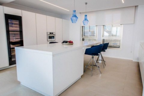 Penthouse w Santa Pola, Alicante, Hiszpania 3 sypialnie, 600 mkw. nr 42779 – zdjęcie 10