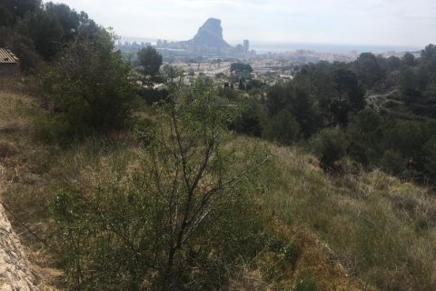 Willa Calpe, Alicante, Hiszpania 193 mkw. nr 43869 – zdjęcie 6